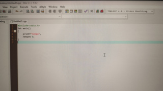 C语言运行一直报错“stray\243 in program” ,大一不知道怎么办唉_编程语言-CSDN问答