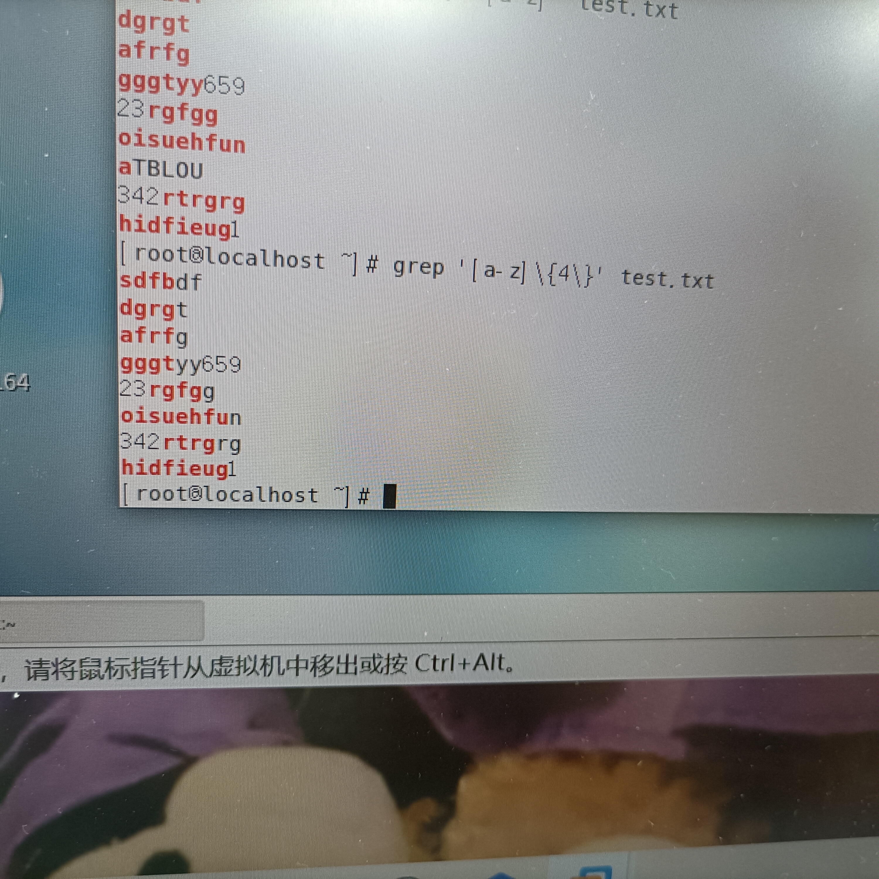 linux正则表达式显示出只包含四个字母