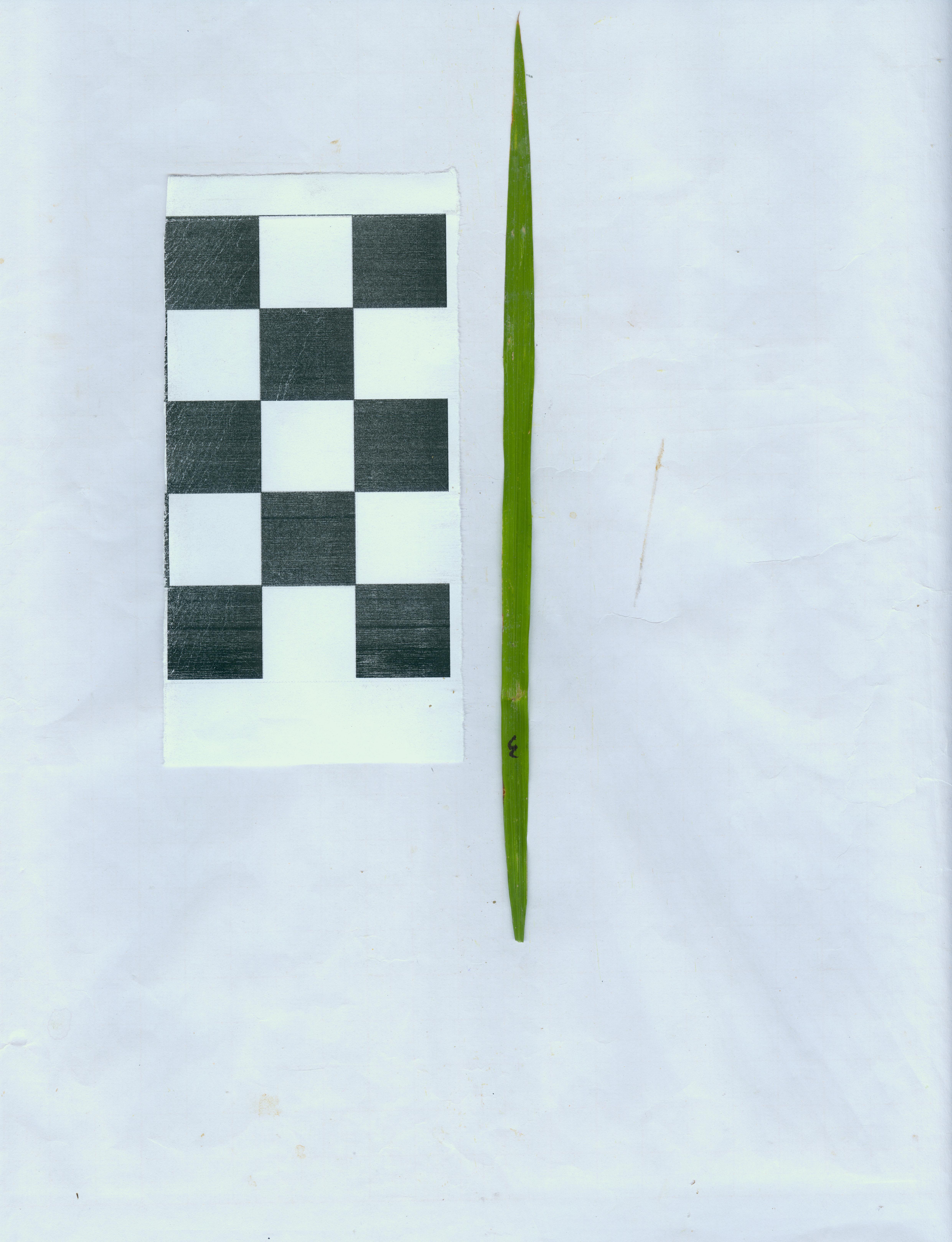 想问问有没有人知道这个用matlab数字图像处理利用黑白方格怎么求这个